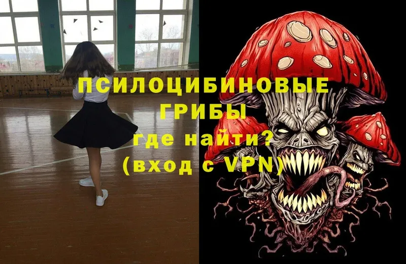 Галлюциногенные грибы MAGIC MUSHROOMS  купить наркотик  Дмитров 